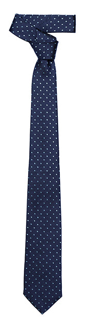 Silk Tie, Polka Dots